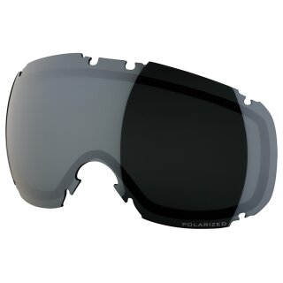 Dye Snow Lens T1 Smoke Silver Polarized